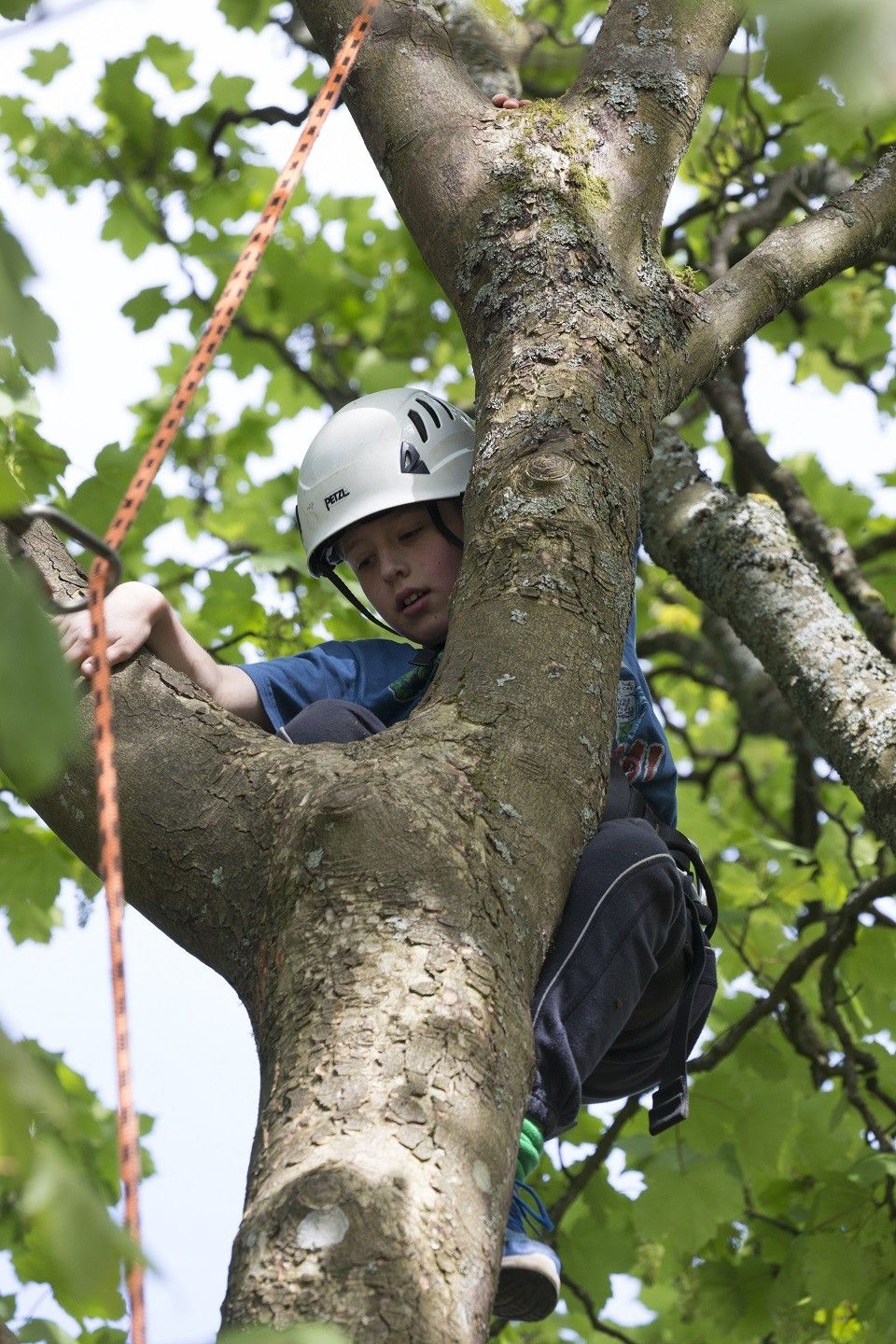 Keswick Mountain Festival