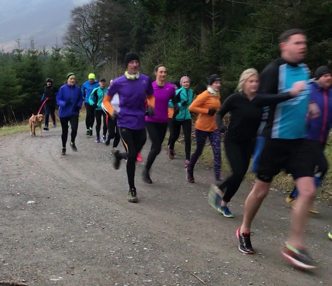 Whinlatter Forest parkrun