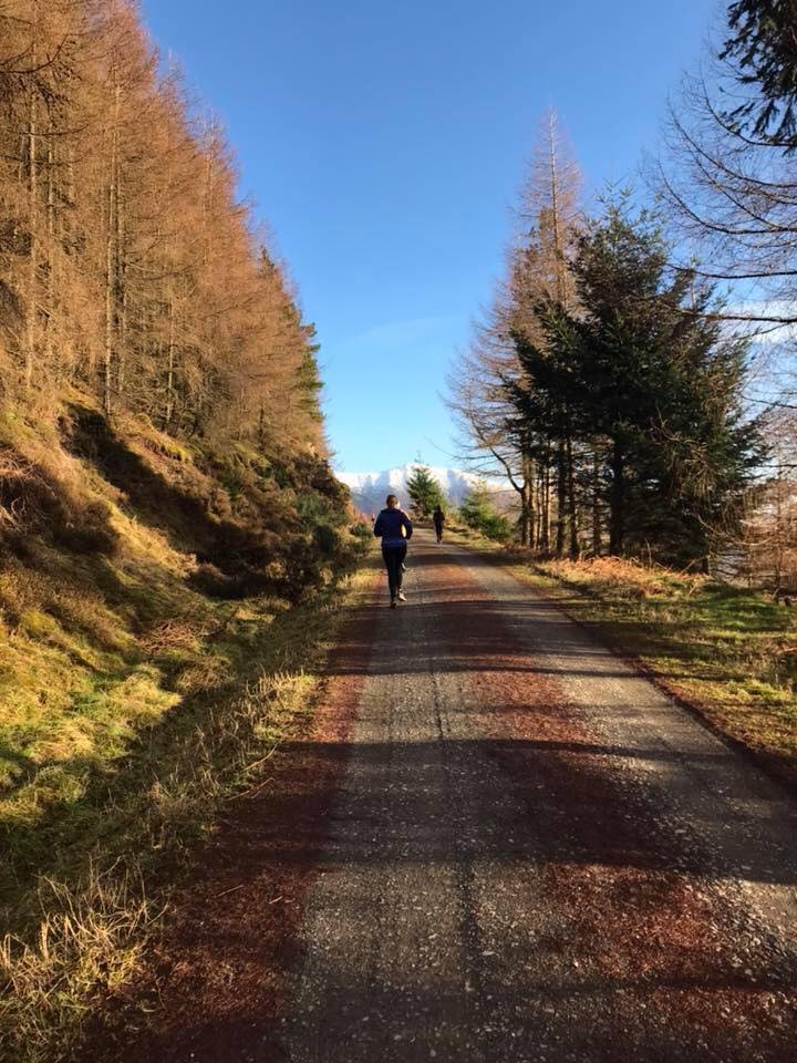 Whinlatter Forest parkrun