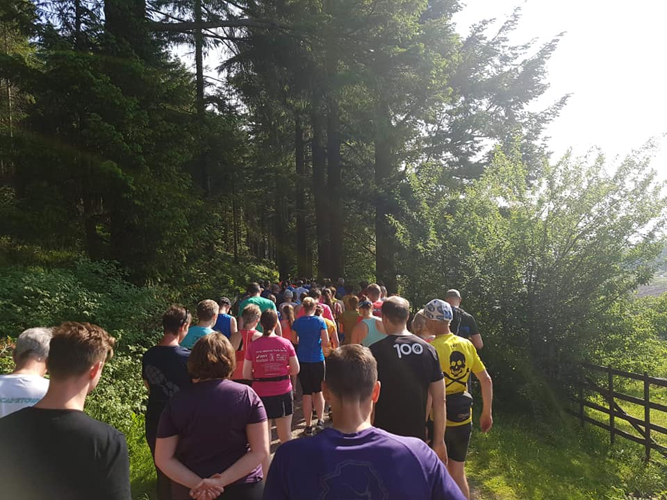 Whinlatter Forest parkrun