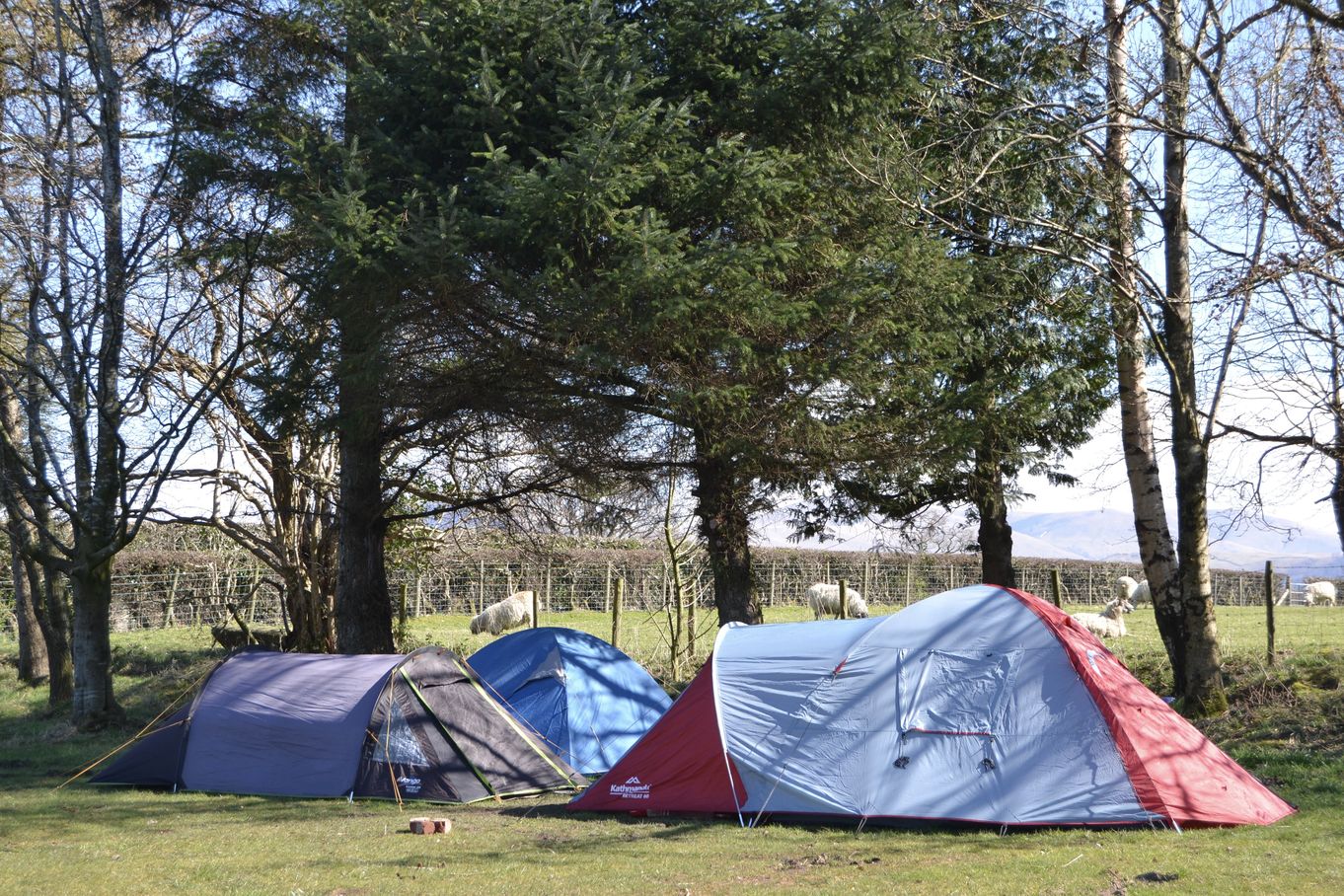 Lanefoot Farm Campsite and Glamping