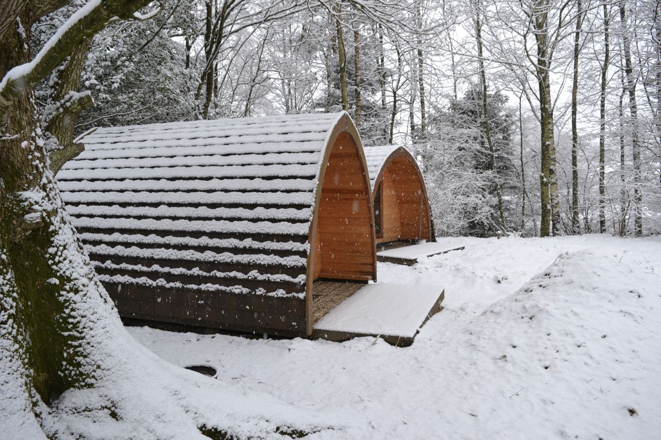 Lanefoot Farm Campsite and Glamping