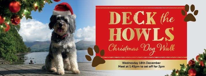 Keswick Live Advent Day 18 - Christmas Dog Walk!