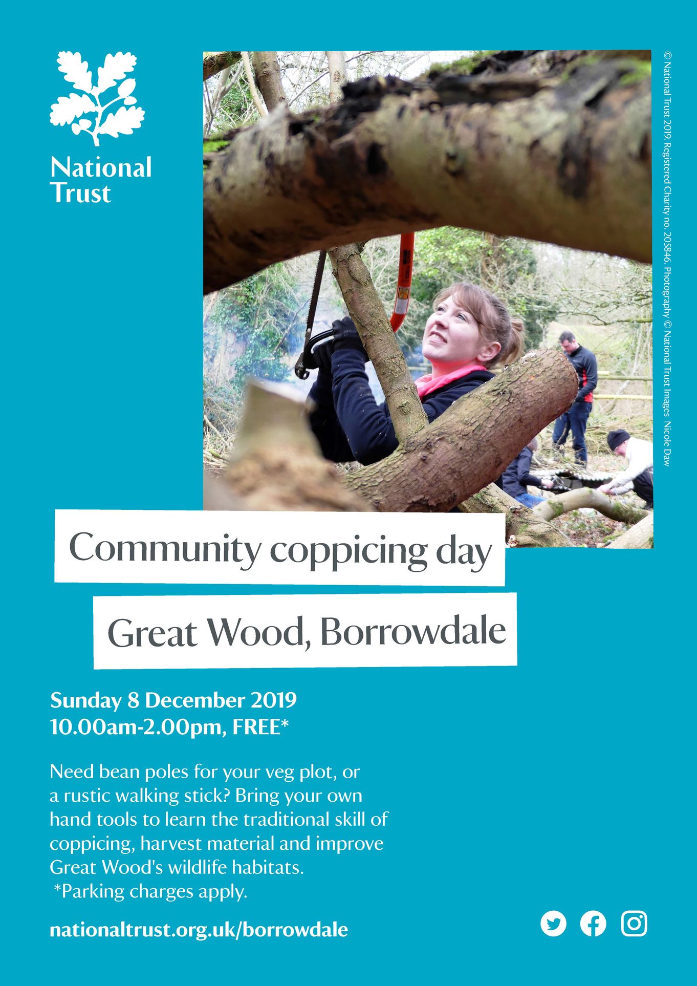 Community Coppicing Day at Great Wood
