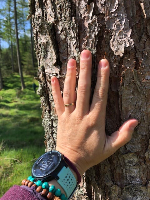 Forest Bathing