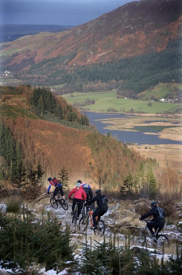 Whinlatter Forest Visitor Centre