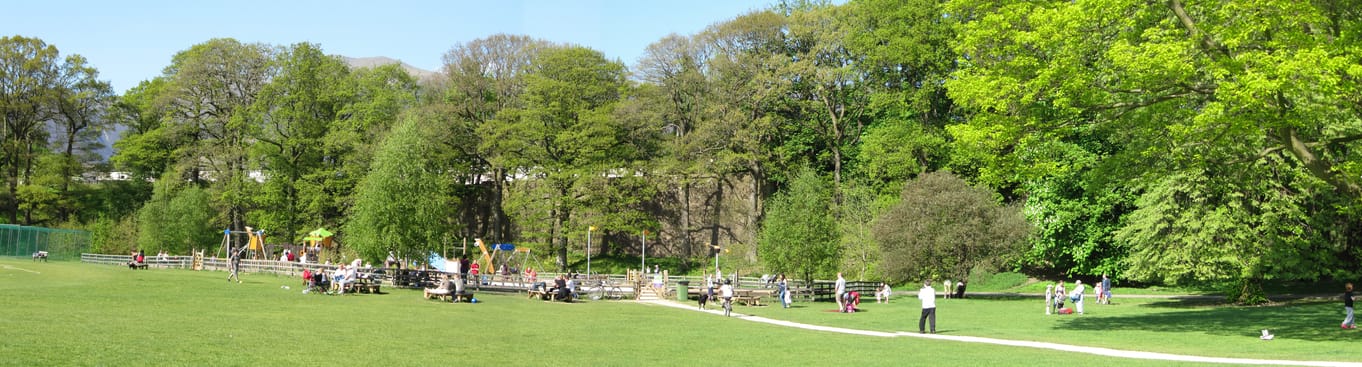 Fitz Park playground