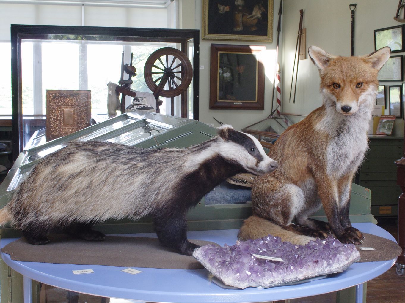 mr fox and old badger.jpg