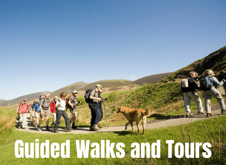 Guided Walks and Tours
