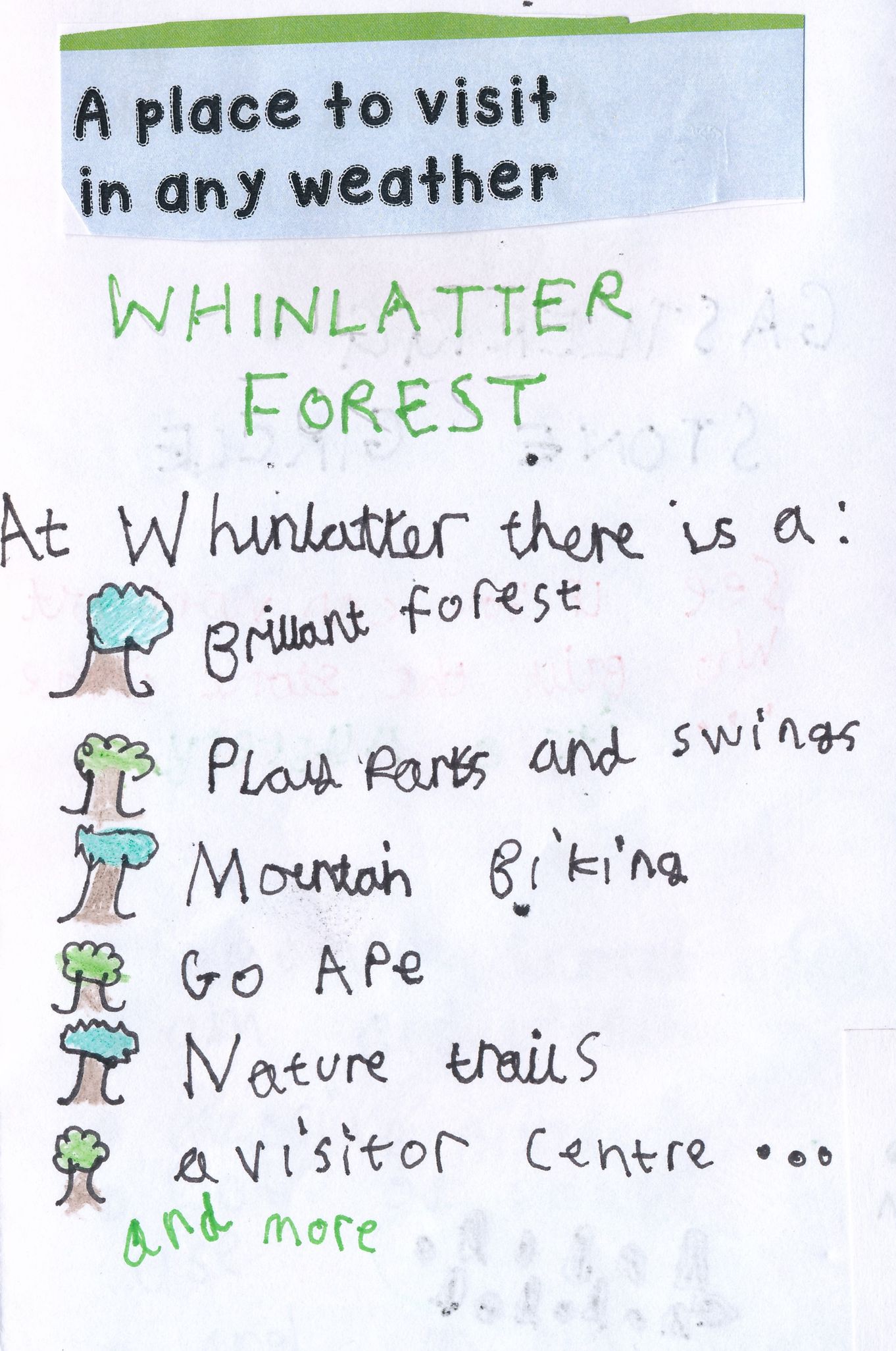 there's lots to do at whinlatter.jpg