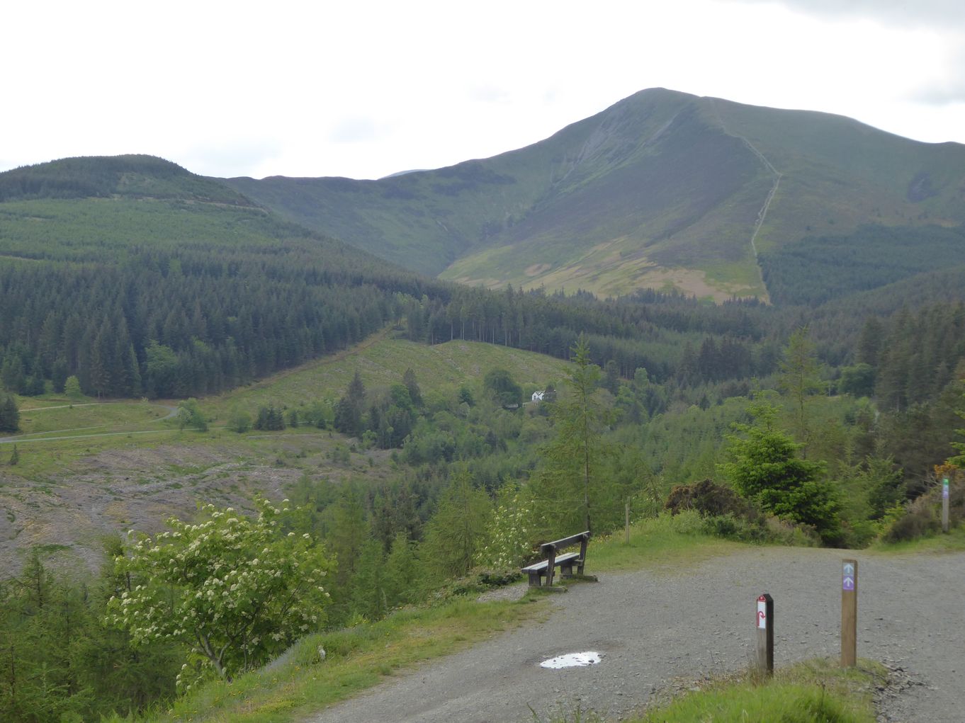 grisedale pike fron whinlatter