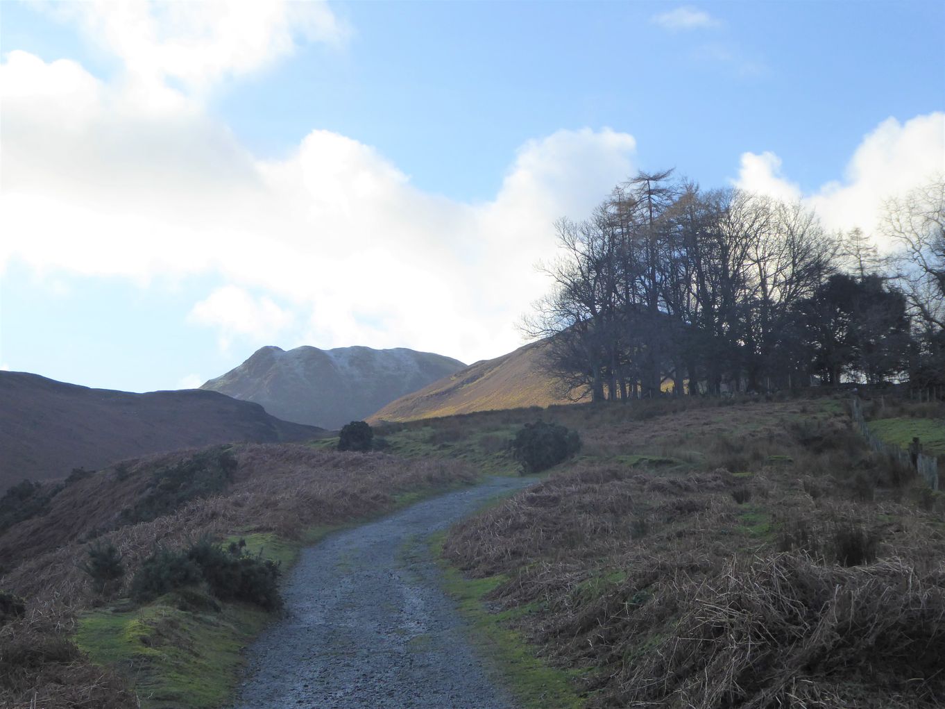 Causey Pike and Stile End