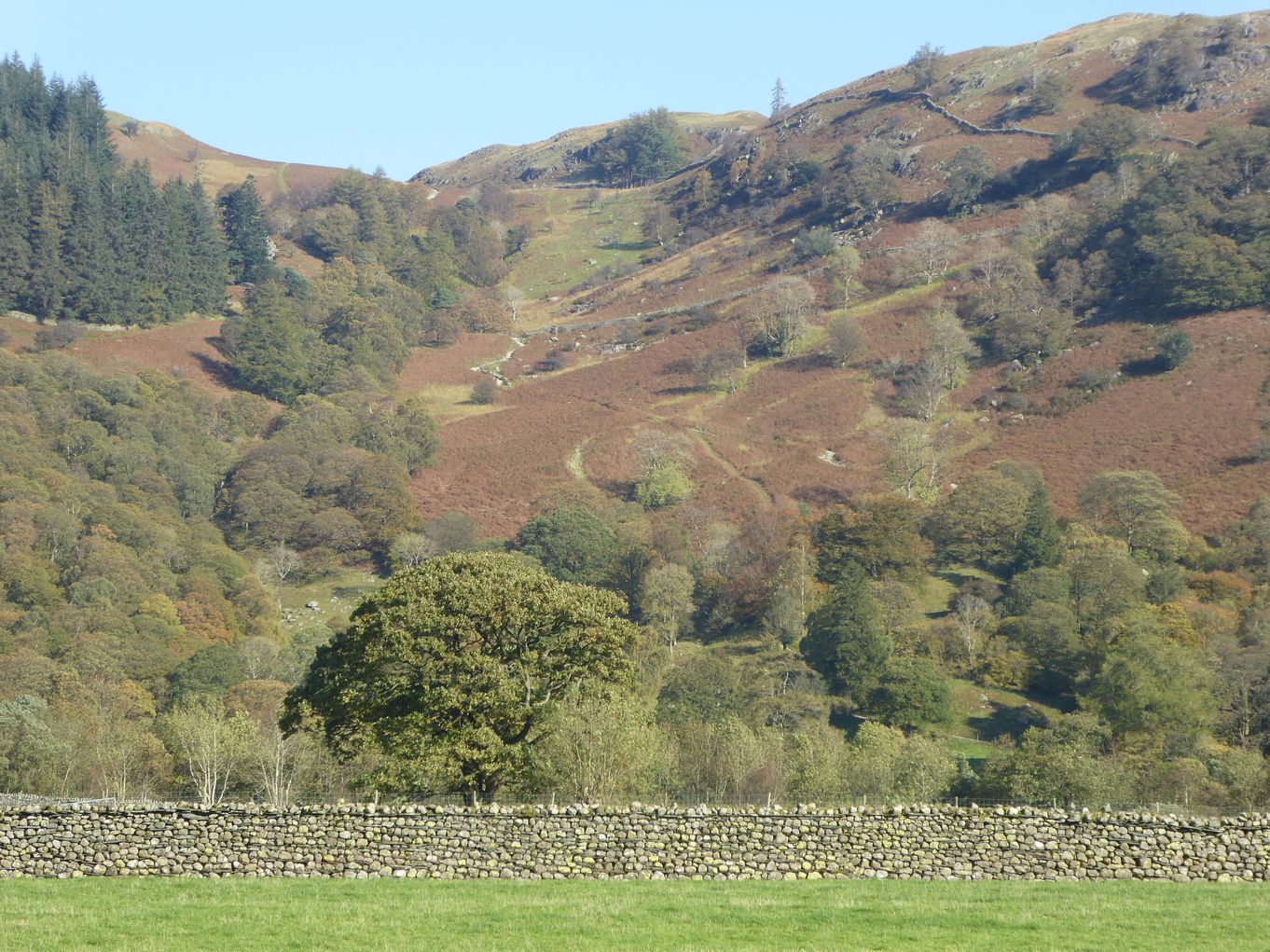 Puddingstone Bank