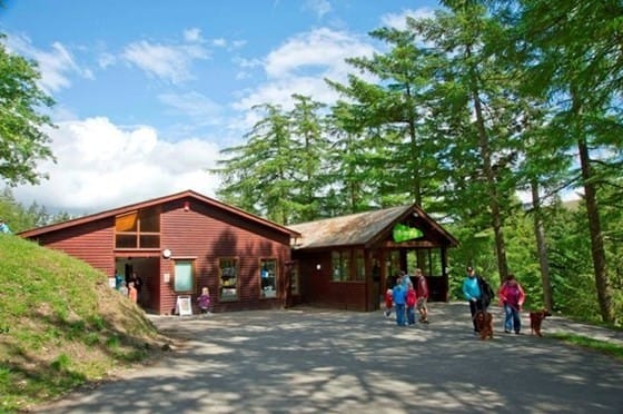 Whinlatter forest visitors centre