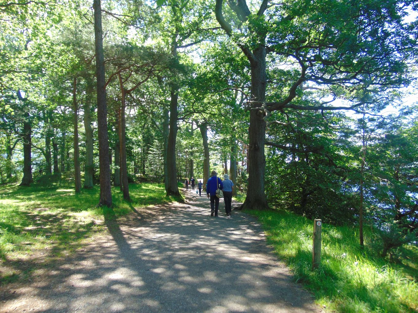 approach to friars crag.jpg