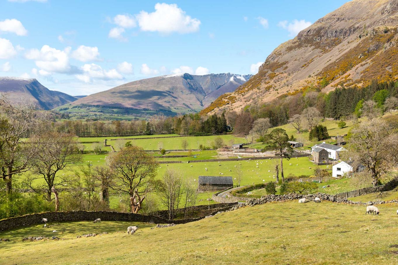 Fornside Farm Cottages