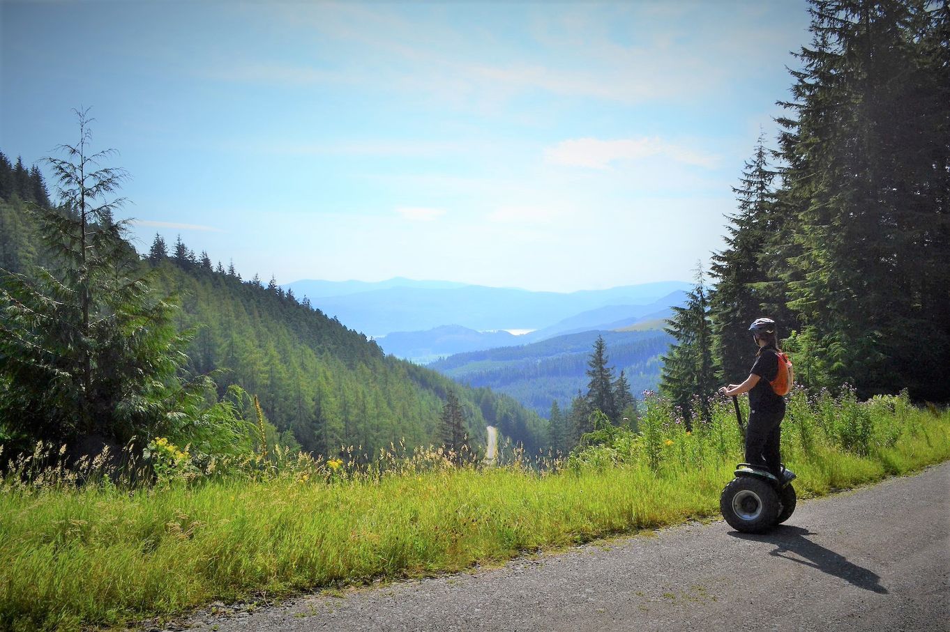 Go Ape Whinlatter