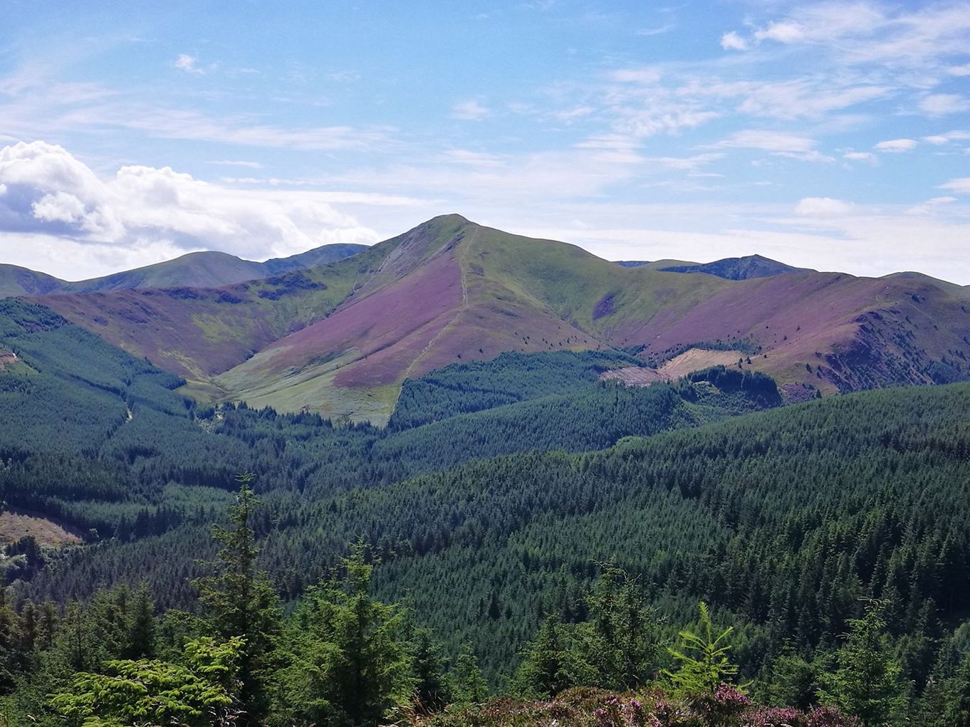 griesdale pike from whinlatter claire paley.jpg