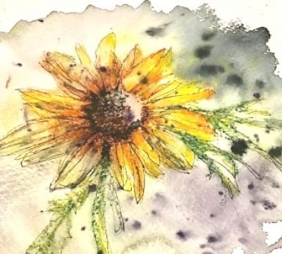 Tuesday PM x5 Series Exploring Watercolours & more' with Margaret Jarvis 