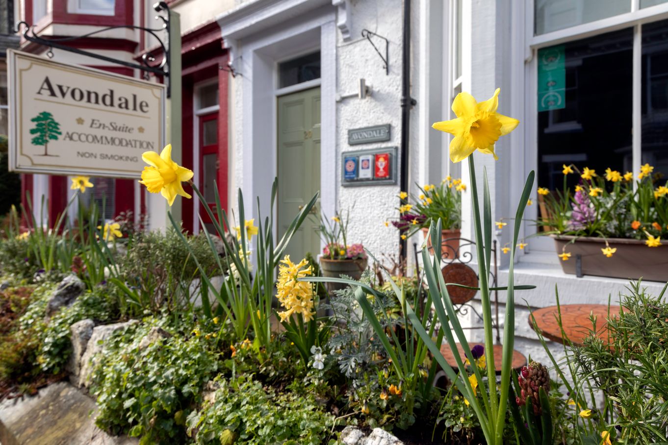 Avondale Guest House