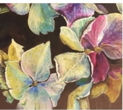 Botanical Watercolour ' 2 day course 'realistic to abstract' with Karen Innes