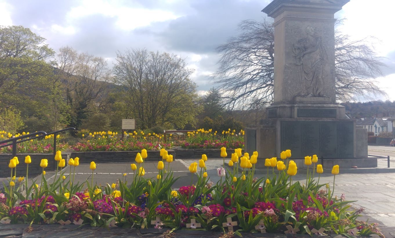 3 march km tulips at war memorial.jpg