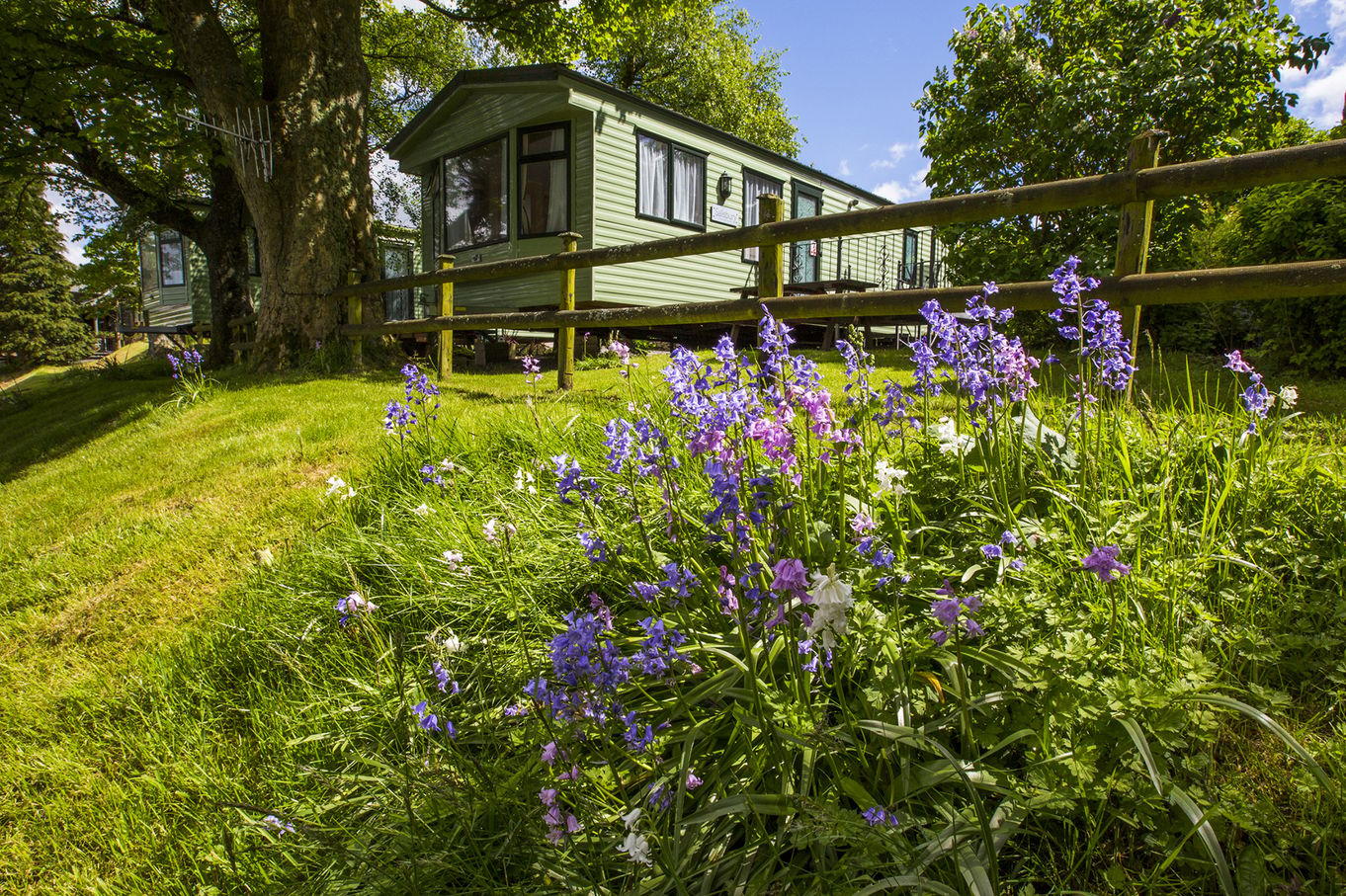 Castlerigg Hall Caravan Holiday Homes