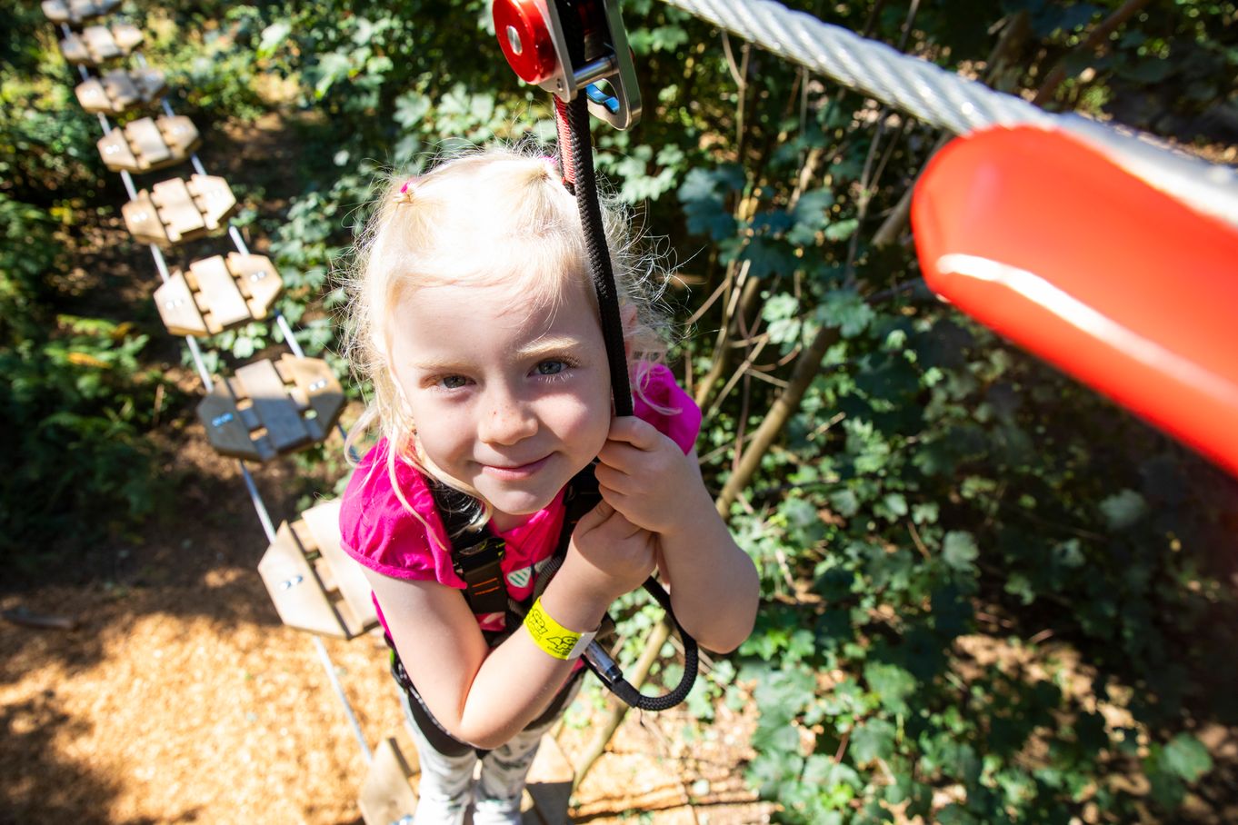 Go Ape Whinlatter