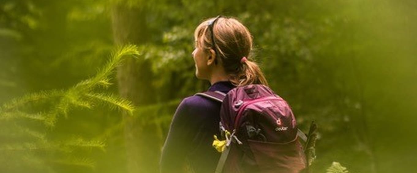 Shinrin-Yoku the Japanese Art of Forest bathing