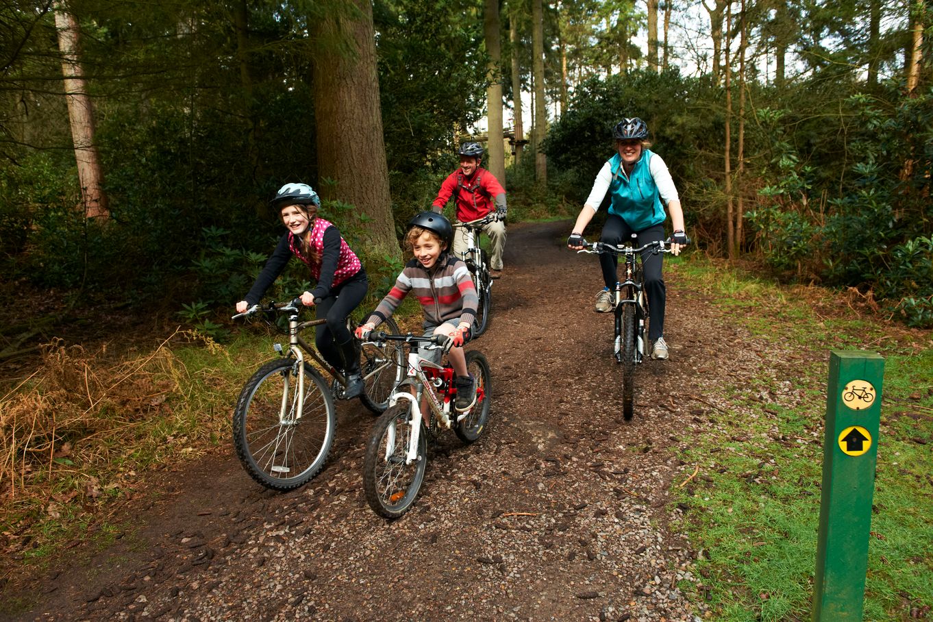 FAmily cycling in the forest.  credit Forestry England/Crown copyright