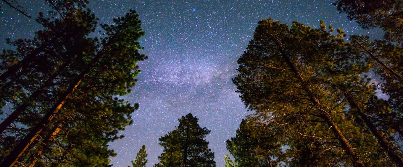 Christmas Dark Skies Walk 