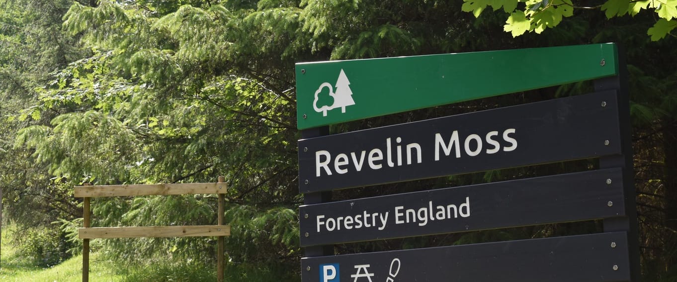 Revelin Moss - Focus on Felling Sunday Walk 