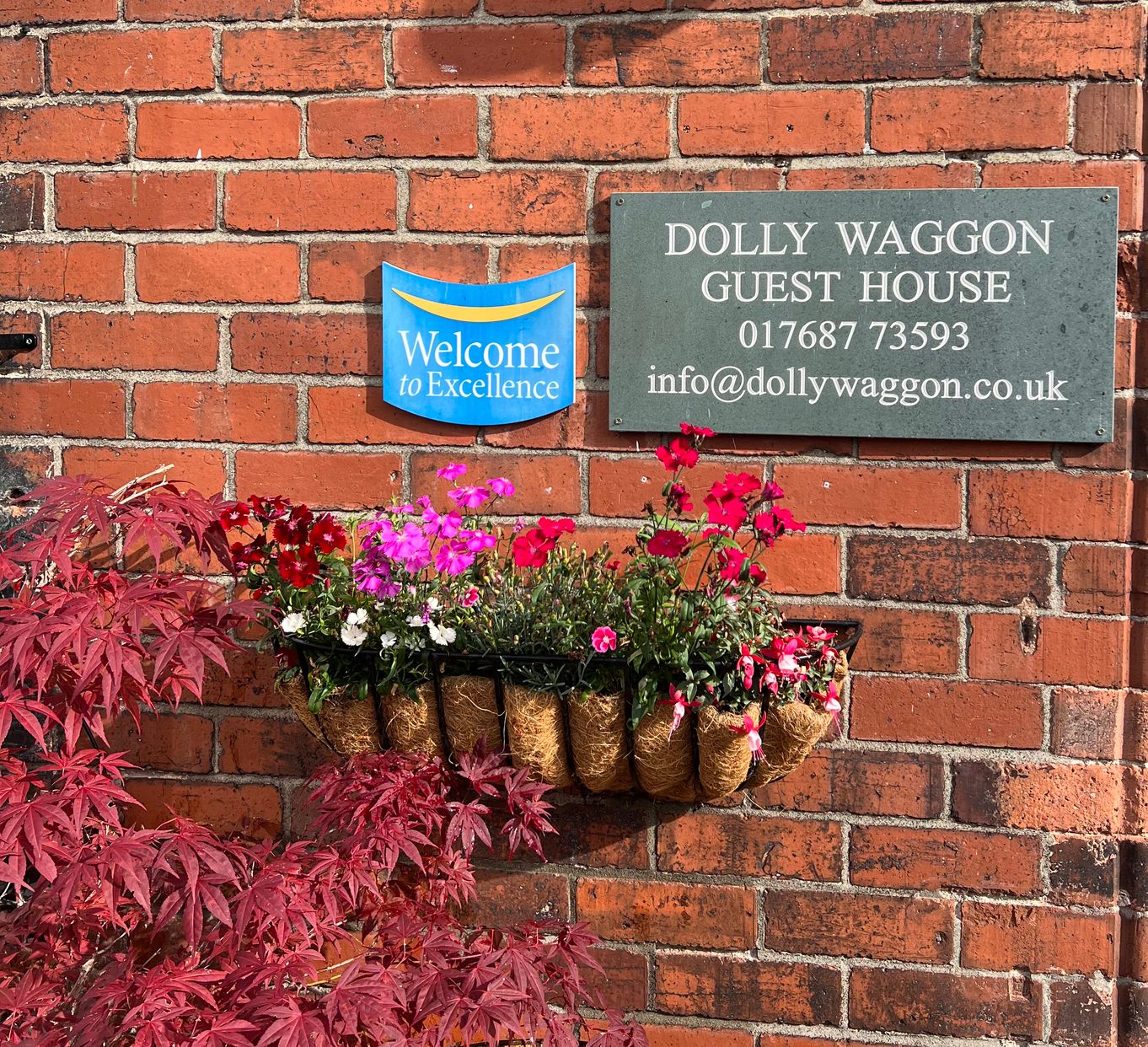 Dolly Waggon