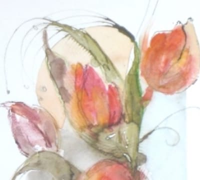 Loose Botanical Water Colours with Lyn Evans 