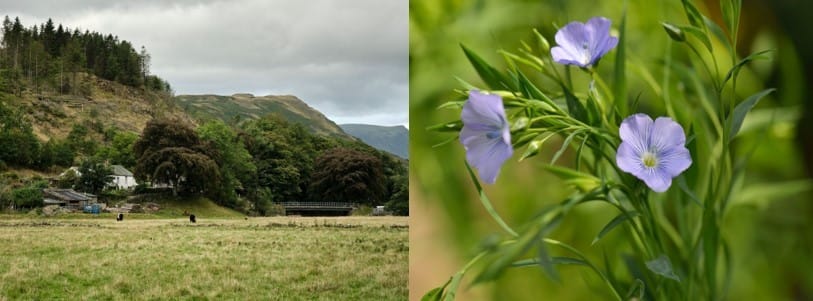 The Heritage of Linen Production in Keswick