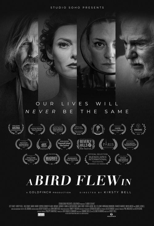 A Bird Flew In - Keswick Film Festival Presents