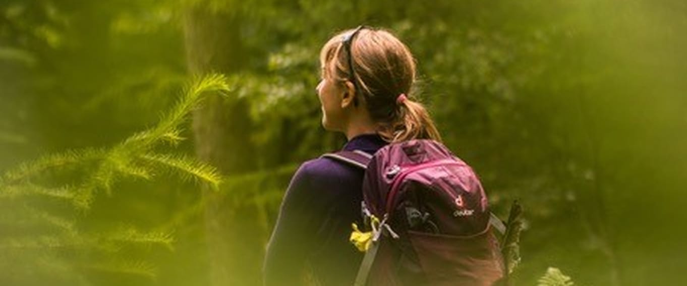 Forest Bathing - Beltane