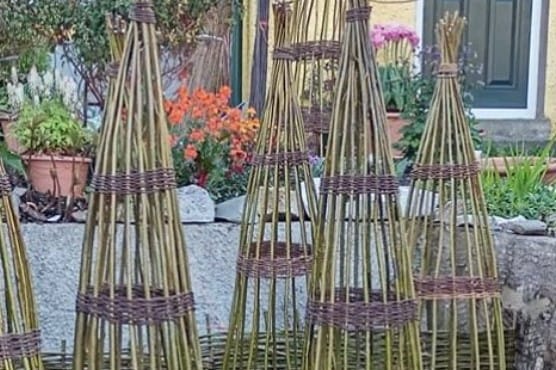 Natural Willow Plant Supports with Willowpool