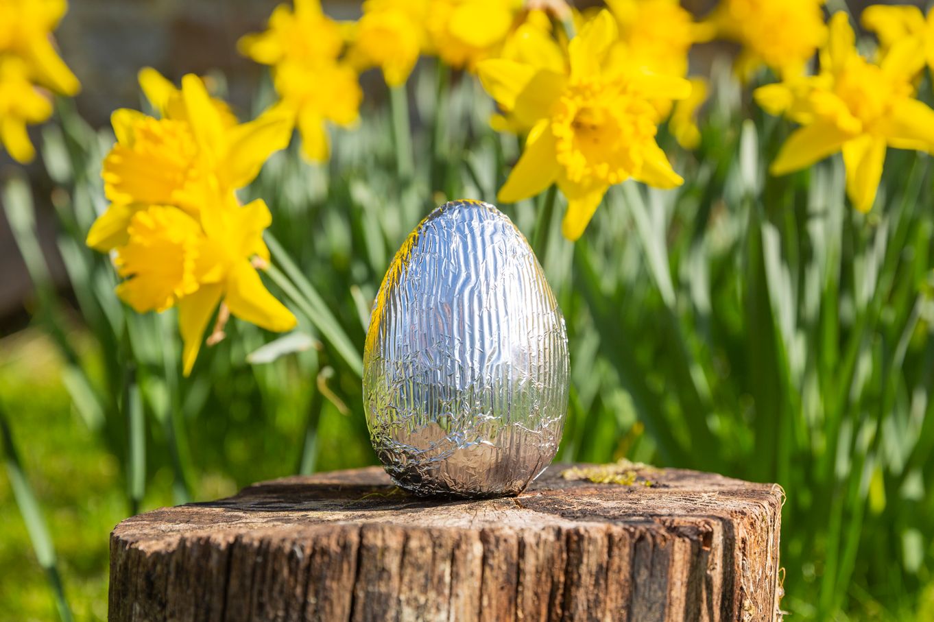 Easter egg among the daffodils