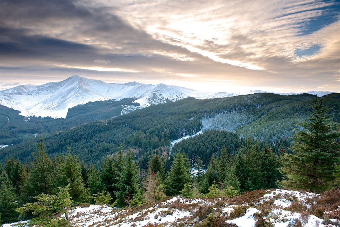 Half day Landscape Photography Workshop