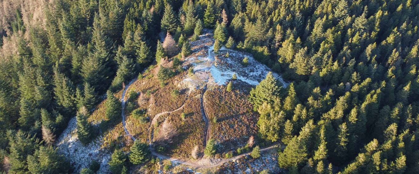 Seat How Summit trail guided walk