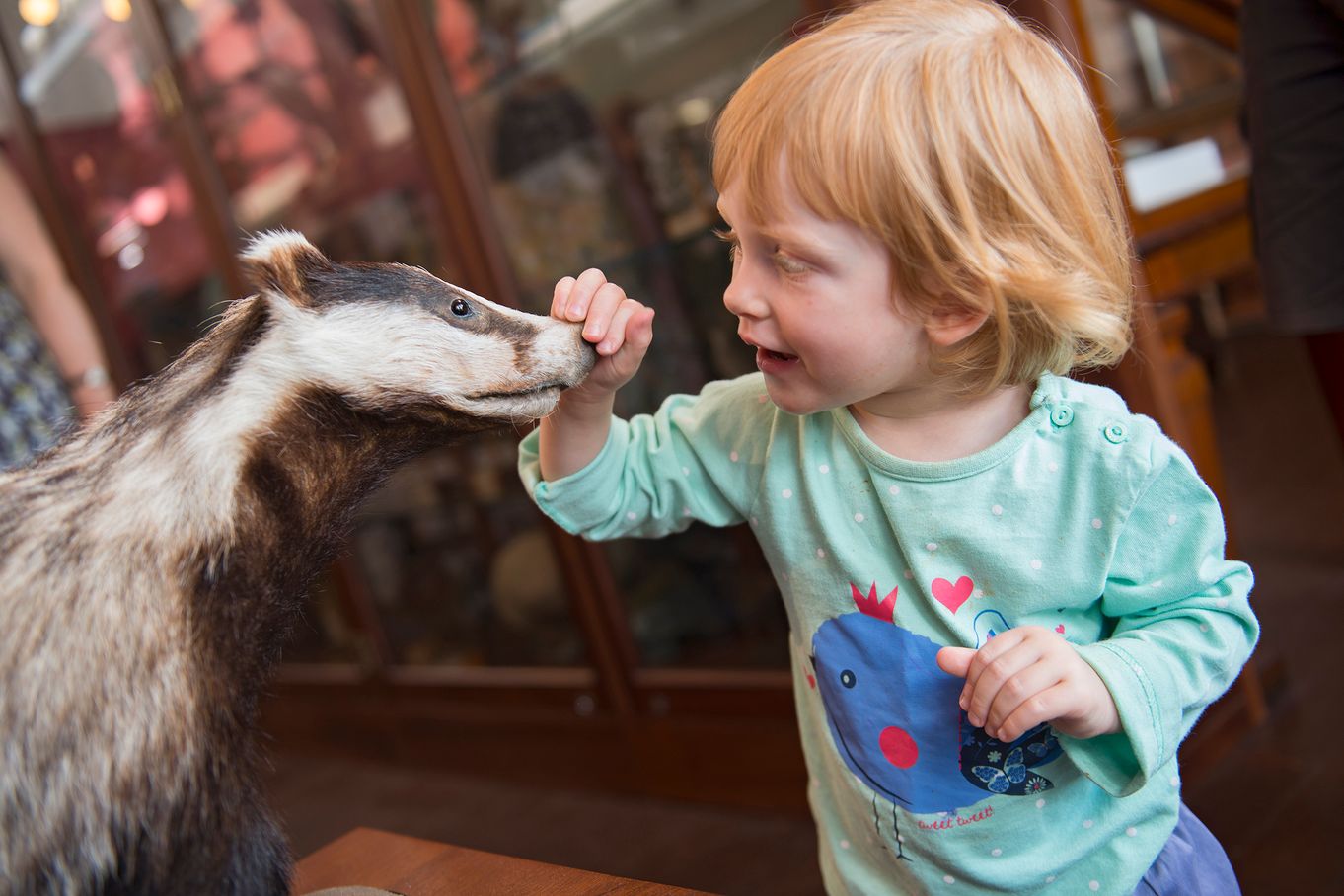 Keswick Museum