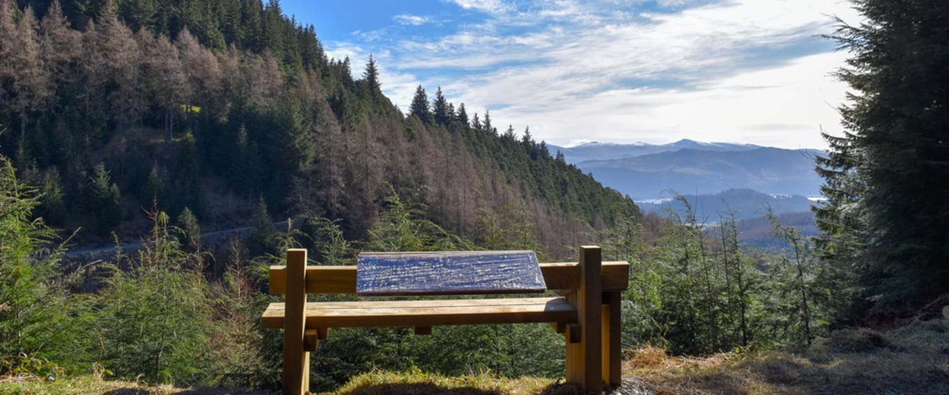 WOW trail guided walks