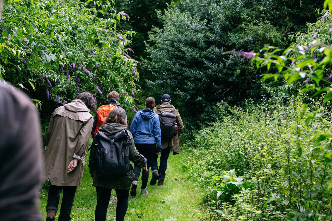 Totally Wild UK foraging courses
