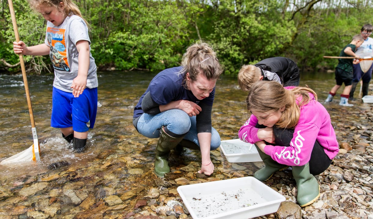 Raindrop to River: Family dipping session