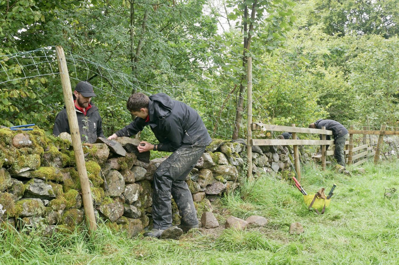 image 2 - repairing a section of dry stone wall at great wood in borrowdale. photo credit - anna place.jpg