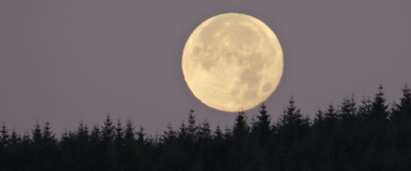 Moon Bathing 