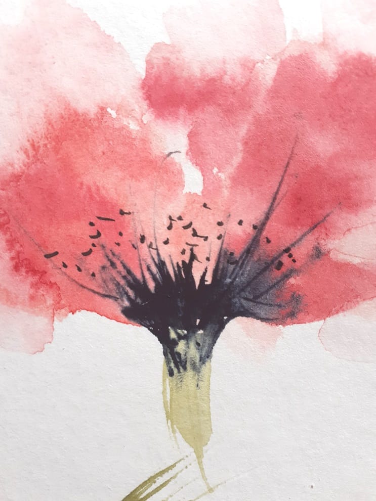 'Loose Botanical Watercolours' with Lyn Evans