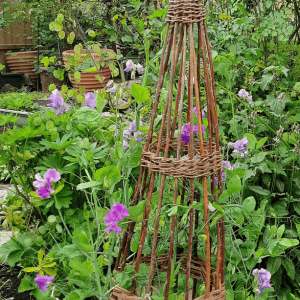 Natural Willow Plant Supports with Willowpool