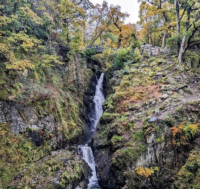 aira force.jpg smaller and cropped.jpg